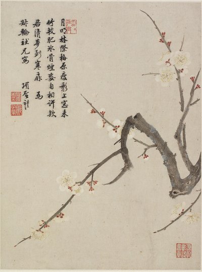Blossoming Plum from a Flower Album of Ten Leaves, 1656 by Shengmo Xiang